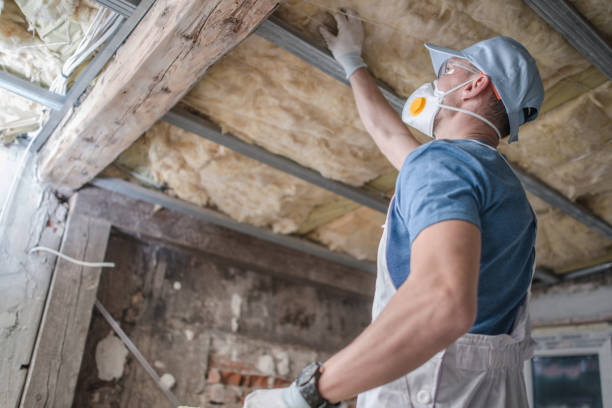 Insulation Replacement Services in Blandon, PA